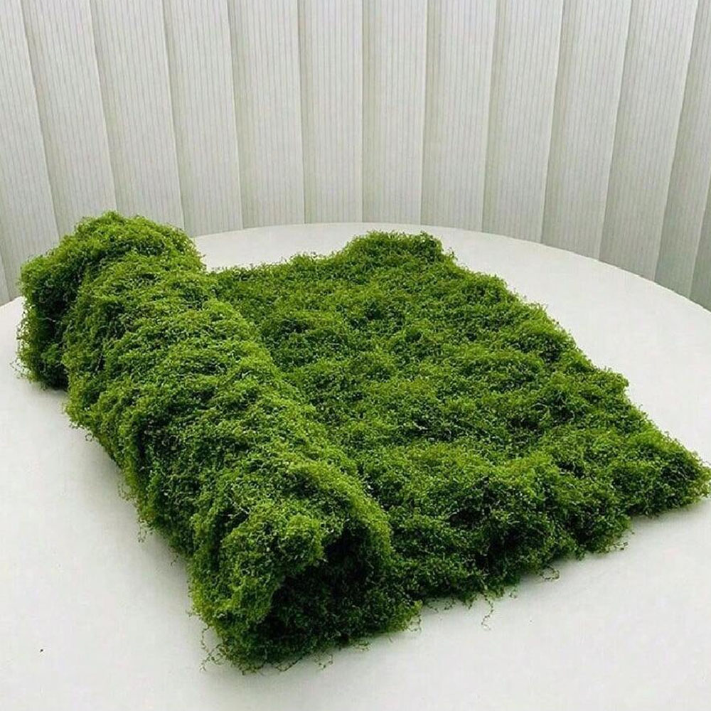 Sphagnum Moss Dry - 1*1m Nep Mos DIY Ambachten Gras