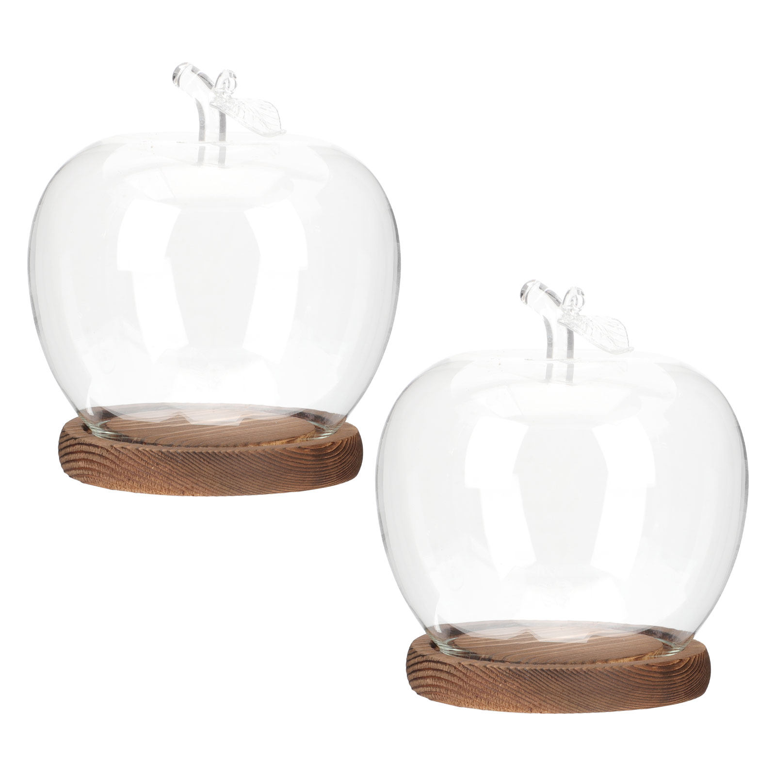 Plastic Dome Clear - 2 stuks glazen stolp met houten