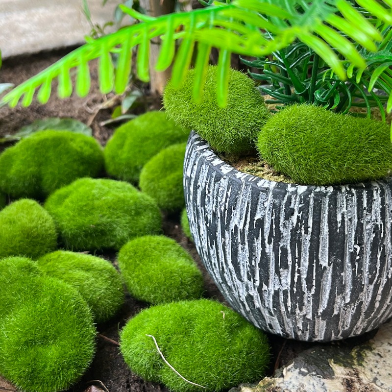 100/5PCS Kunstmatige Mossteen  - Sphagnum Moss Dry recensie en prijs
