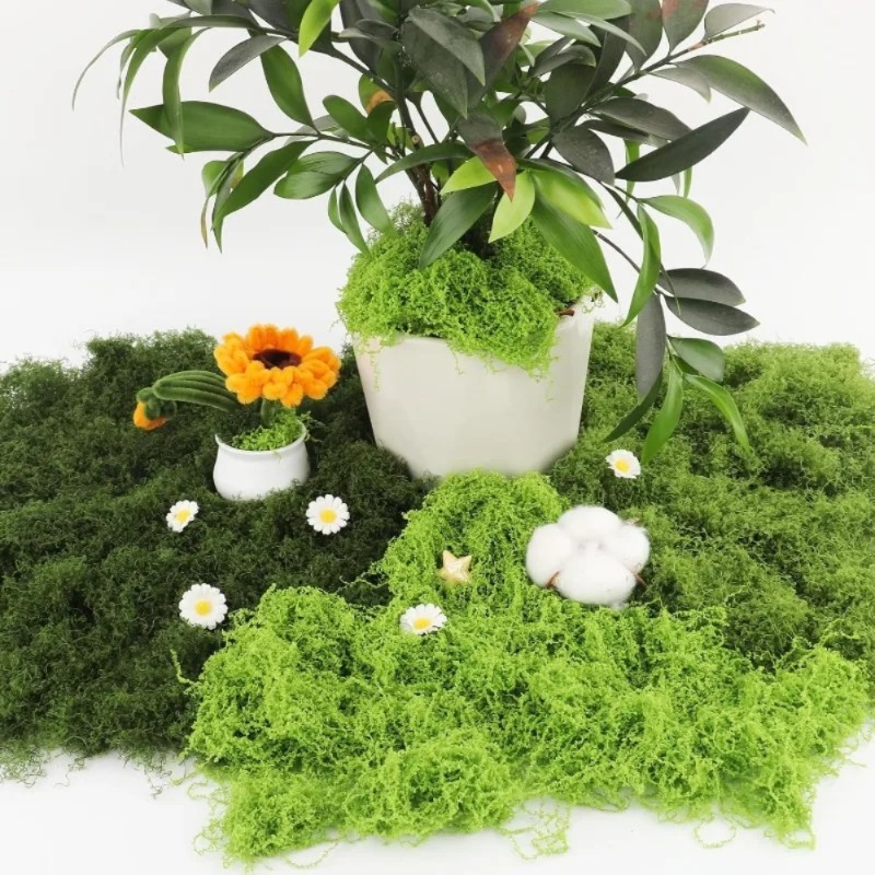 Kunstmatig groen mos, nepmos v - Sphagnum Moss Dry recensie en prijs