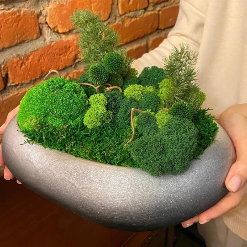 Kunstmatig groen mos, nepmos v - Sphagnum Moss Dry recensie en prijs