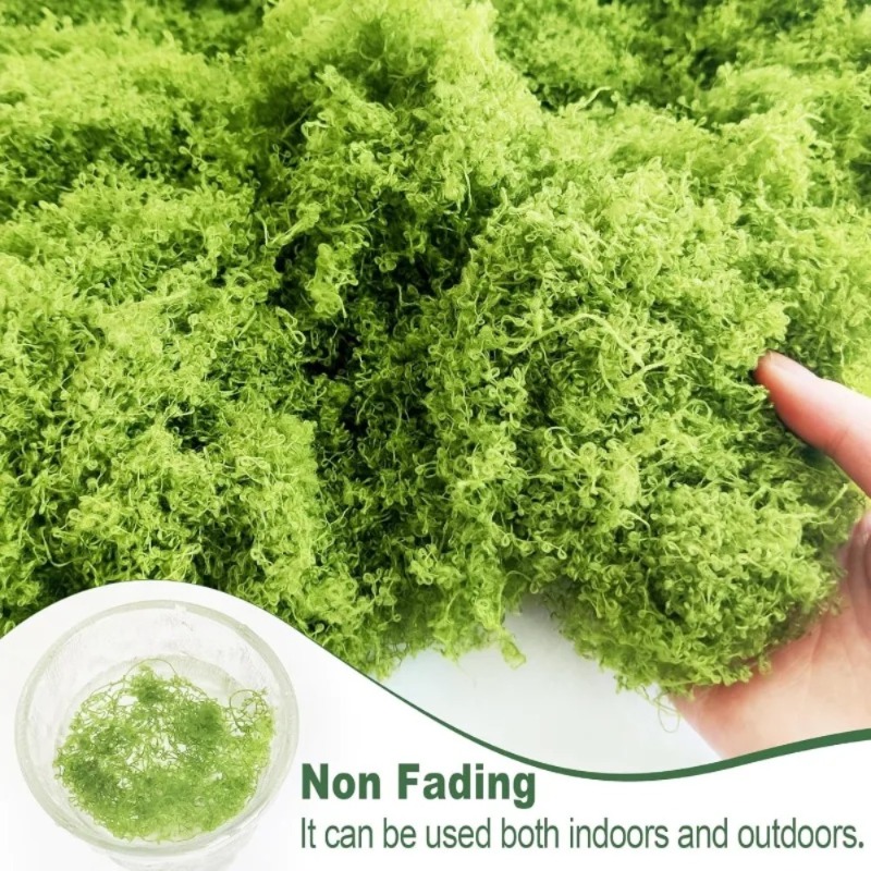 Kunstmatig groen mos, nepmos v - Sphagnum Moss Dry recensie en prijs