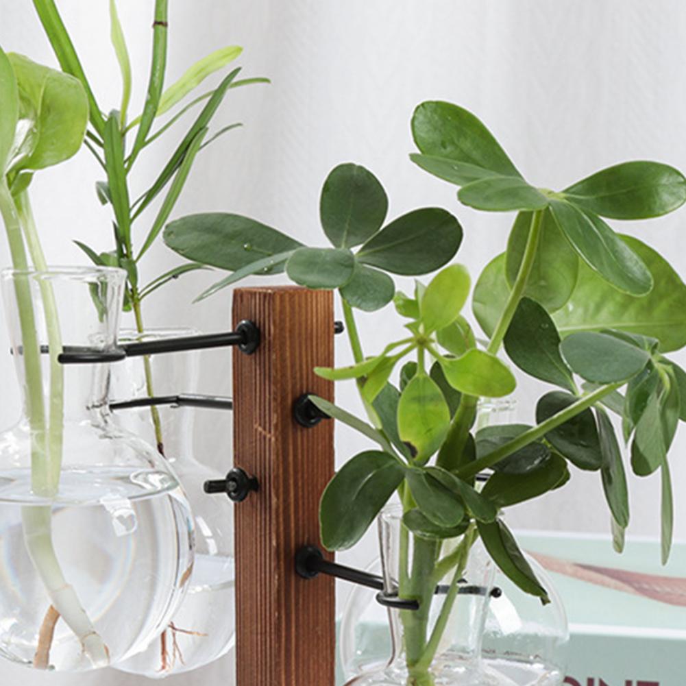 1 Set 10*25 Cm Planten Voortpl - Propagation Station Vase recensie en prijs