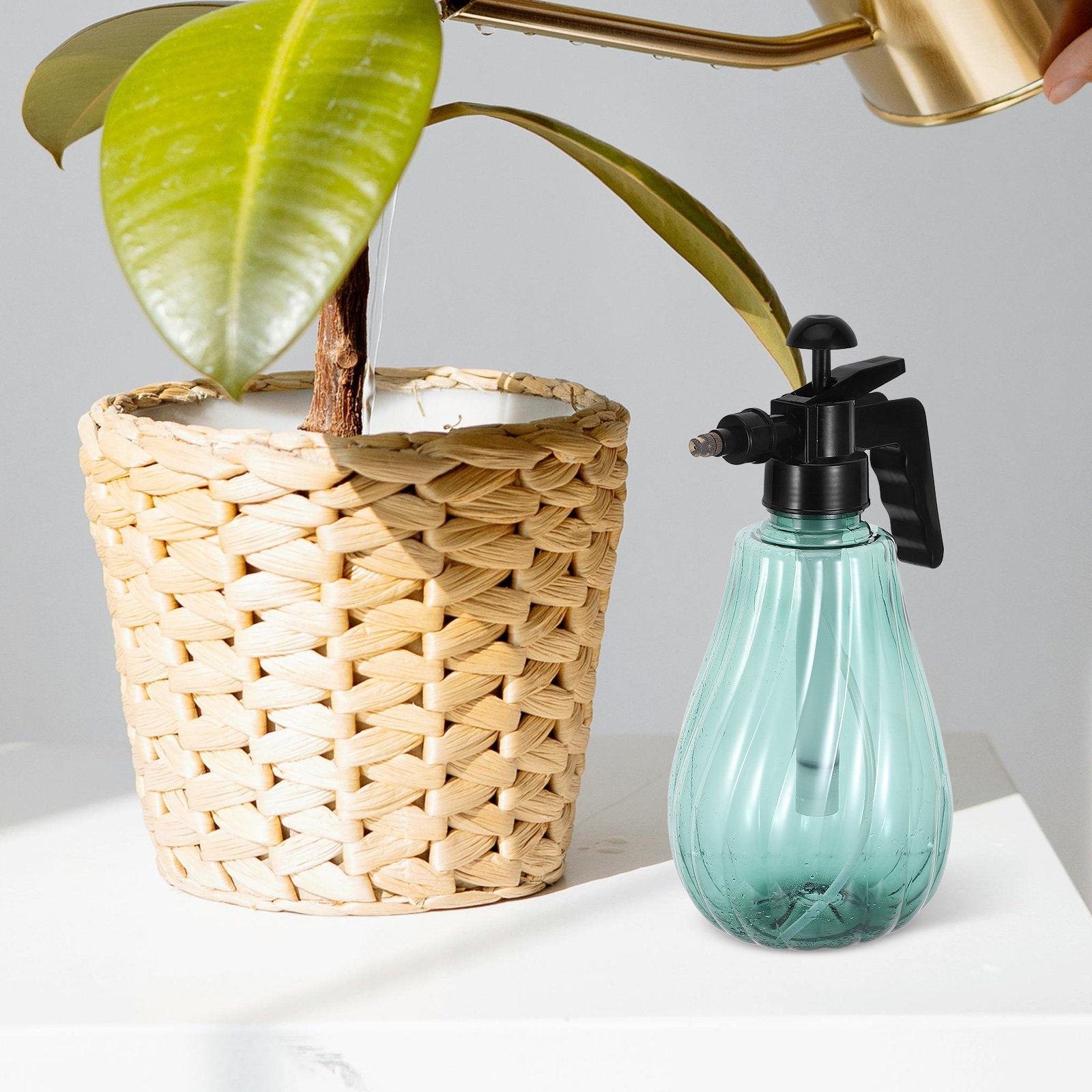 Handzame huisdierbadspuitfles, - Misting Bottle Fine recensie en prijs