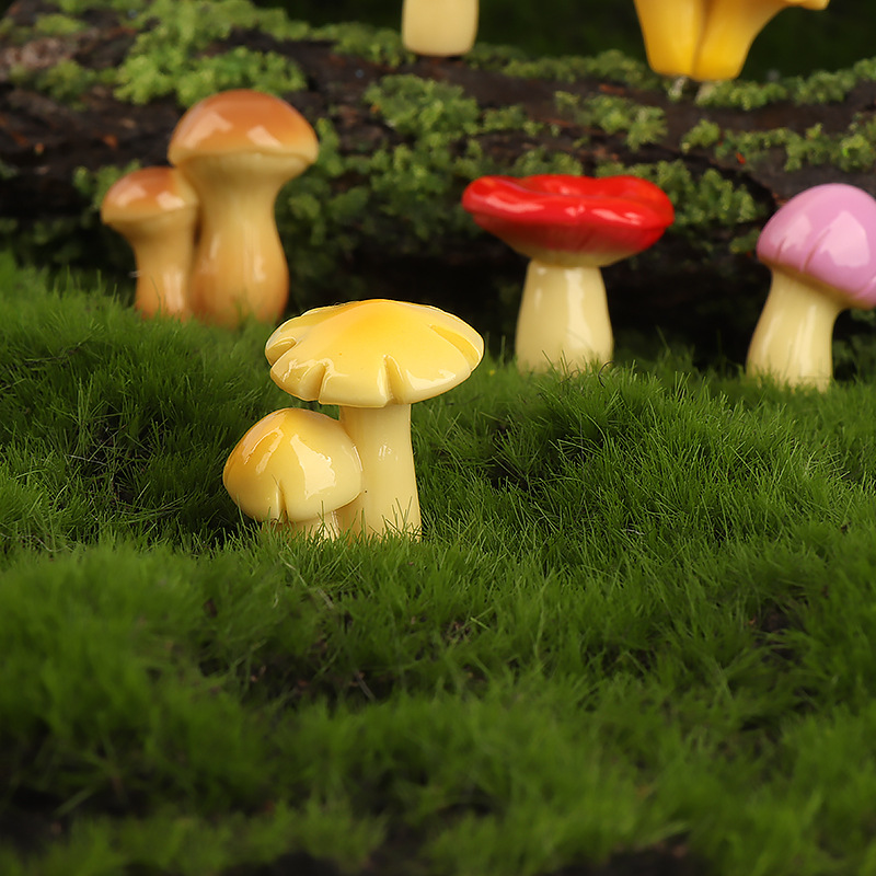 Moss Micro Landschap Creatieve - Sphagnum Moss Dry recensie en prijs