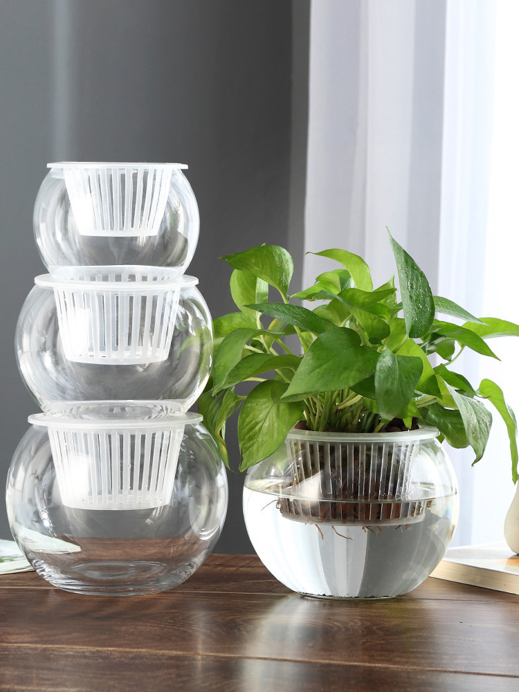 Hydroponische glazen vaas, gla - Propagation Station Vase recensie en prijs